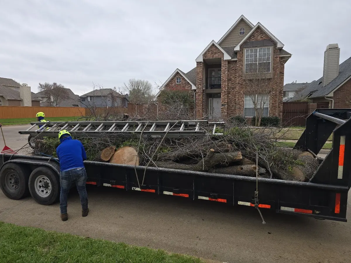 Expert Crown Reduction with proper safety equipment in Oakfield